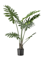 Bloomingville - Philodendron Plant - Džiovintos gėlės - Žalia
