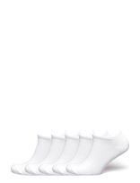 ZEBDIA - 5-Pk Tennis Footies - Sportinės kojinės - Balta