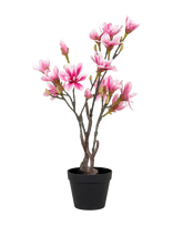 House Nordic - Artificial Flowers - Džiovintos gėlės - Rožinė