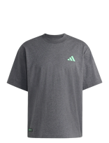 Adidas Performance - Mer Ps Tee M - Sportiniai marškinėliai - Pilka