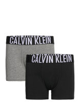Calvin Klein - 2Pk Trunk - Apatinės kelnaitės - Marga / raštuota