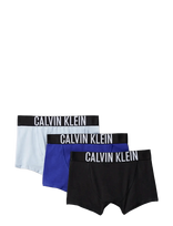 Calvin Klein - 3Pk Trunk - Apatinės kelnaitės - Marga / raštuota