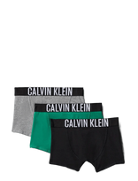 Calvin Klein - 3Pk Trunk - Apatinės kelnaitės - Marga / raštuota