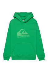 Quiksilver - Comp Logo Hoodie Youth - Džemperis - Žalia