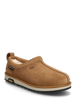 UGG - W Tasman Gtx - Meškiukas - Ruda