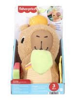 Fisher-Price - Snuggly Snacky Capybara Plush Baby Sensory Toy With Teether & Rattle For Newborns - Pliušinis žaislas - Marga / raštuota
