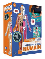 Auzou - Activity Box - Discovering The Human Body - Edukaciniai žaidimai - Marga / raštuota