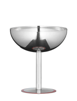 Aida - Lido Champagne Coupe In Chili 1 Pcs. 20 Cl  D:10 X H:11 Cm - Šampano taurės - Sidabro