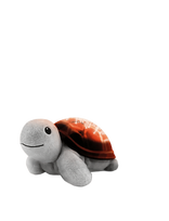 ZAZU - Tim The Turtle Projector - Naktinė lempa - Ruda