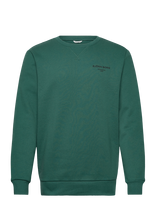 Björn Borg - Borg Essential 1 Sweatshirt - Sportinis megztinis - Žalia