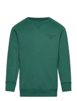 Björn Borg - Borg Essential 1 Sweatshirt - Megztinis - Žalia