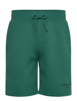 Björn Borg - Borg Essential 1 Sweatshorts - Sportiniai šortai - Žalia