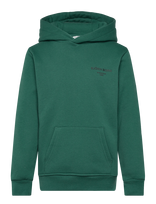 Björn Borg - Borg Essential 1 Hoodie - Džemperis - Žalia