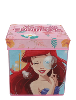 Princesses - Storage Box - Sandėliavimo dėžė - Rožinė
