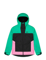 PICTURE ORGANIC CLOTHING - Seakrest Jkt - Sportinė slidinėjimo striukė - Žalia