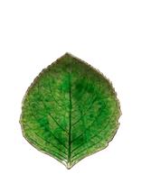 Costa Nova - Bladfad Hydrangea S - Dekoratyvinė lėkštė - Žalia