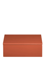 Mojoo - Lux Lacquer Box - Medinė dėžė - Oranžinė