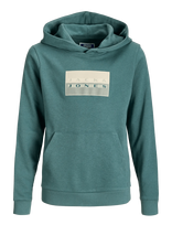 Jack & Jones - Jcofusion Graphic Sweat Hood Sn Jnr - Džemperis - Žalia