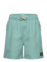 Rip Curl - Offset Volley -Boy - Maudymosi šortai - Mėlyna