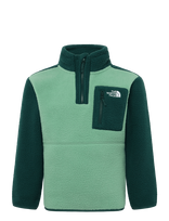 The North Face - Teen Yumiori 1/4 Zip Jacket - Flisinė striukė - Žalia