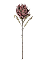 Bloomingville - Protea Stem - Džiovintos gėlės - Rožinė