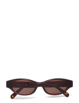 Corlin Eyewear - Alba Brown Brown - Akiniai nuo saulės - Ruda