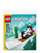 LEGO - Cataclaws Snow Adventure 30718 - Lego creator - Marga / raštuota
