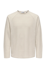 ONLY & SONS - Onsapollo Reg Ls Struc Crew Knit - Apvalios apykaklės megztinis - Kreminė spalva