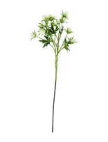 House Doctor - Artificial Flower, Hderyngium, Whit - Džiovintos gėlės - Balta
