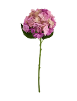 House Doctor - Artificial Flower, Hdhydrangea, Pin - Džiovintos gėlės - Rožinė