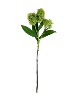 House Doctor - Artificial Flower, Hdskimmia, Green - Džiovintos gėlės - Žalia