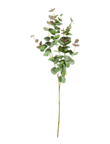 House Doctor - Artificial Branch, Hdeucalyptus, Gr - Džiovintos gėlės - Žalia