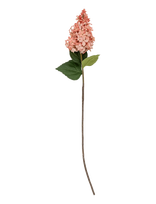 Bloomingville - Hydrangea Stem - Džiovintos gėlės - Rožinė