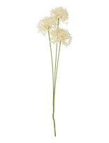 Bloomingville - Allium Stem - Džiovintos gėlės - Balta
