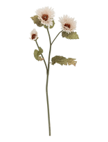 Bloomingville - Chrysantemum Stem - Džiovintos gėlės - Balta