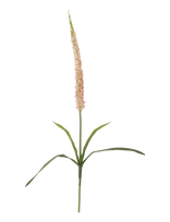 Bloomingville - Foxtail Stem - Džiovintos gėlės - Rožinė