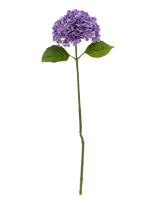 Bloomingville - Hydrangea Stem - Džiovintos gėlės - Violetinė