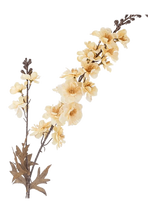 Bloomingville - Larkspur Stem - Džiovintos gėlės - Kreminė spalva