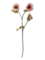 Bloomingville - Chrysantemum Stem - Džiovintos gėlės - Rožinė