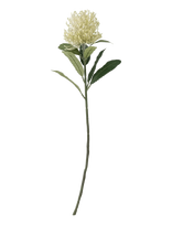 Bloomingville - Needle Flower Stem - Džiovintos gėlės - Geltona