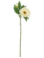 Bloomingville - Peony Stem - Džiovintos gėlės - Balta