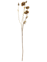 Bloomingville - Poppy Stem - Džiovintos gėlės - Ruda