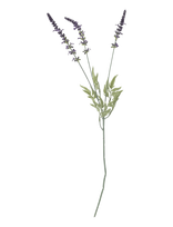 Bloomingville - Lavender Stem - Džiovintos gėlės - Violetinė
