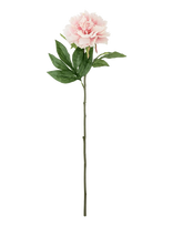 Bloomingville - Peony Stem - Džiovintos gėlės - Rožinė