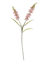 Bloomingville - Hydrangea Stem - Džiovintos gėlės - Rožinė