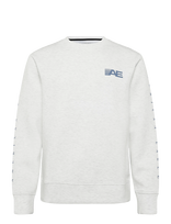 American Eagle - 2264 Intl Heather Manchego Crew - Megztinis - Pilka