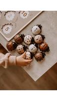 Mrs. Ertha - Medinė puzlė - my lady bug