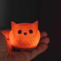 Mini naktinė LED lemputė „Pelėdžiukas“