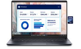 Nešiojamas kompiuteris Dell Pro Premium 14, NOTDEL1034740150