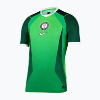 Vyriški futbolo marškinėliai Nike Nigeria 2026/27 Match Home pine green/electric green/white